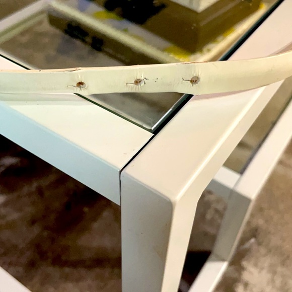 GUCCI woman’s belt - Picture 3 of 5